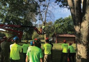 buckley tree service certified arborists waukesha tree tree service invoice
